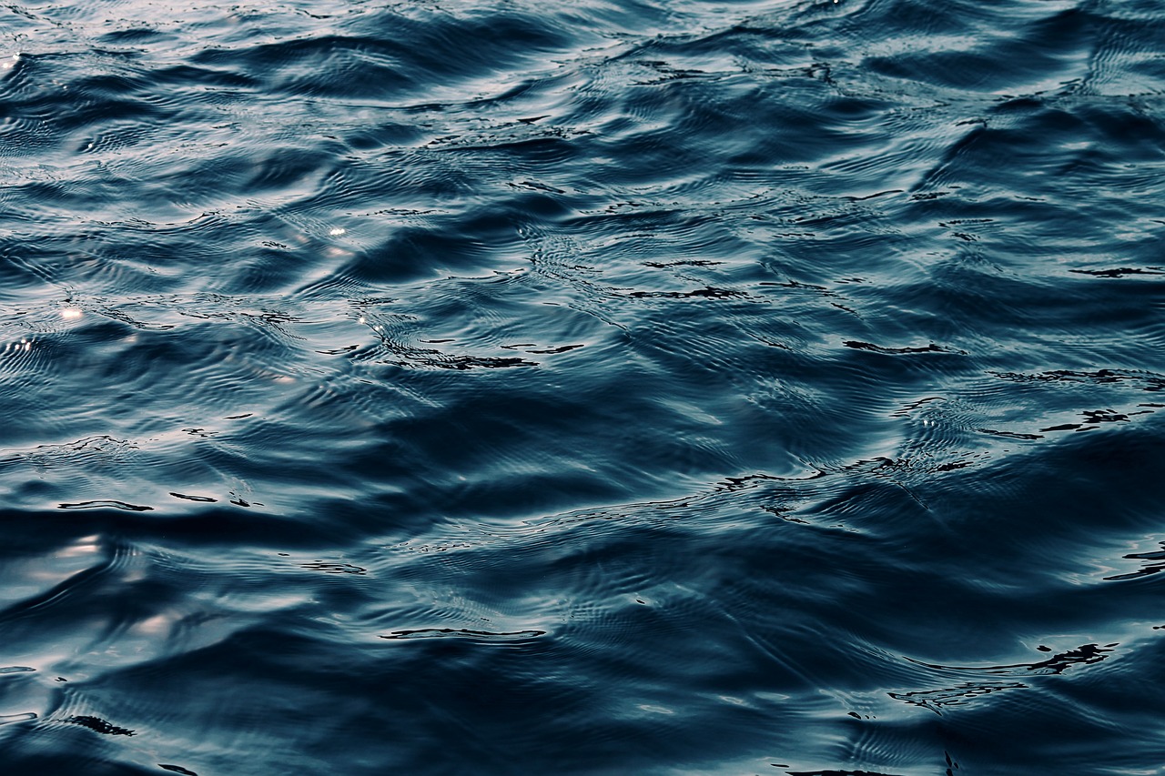 Navigating the Ocean Waste Crisis - What Can We Do?